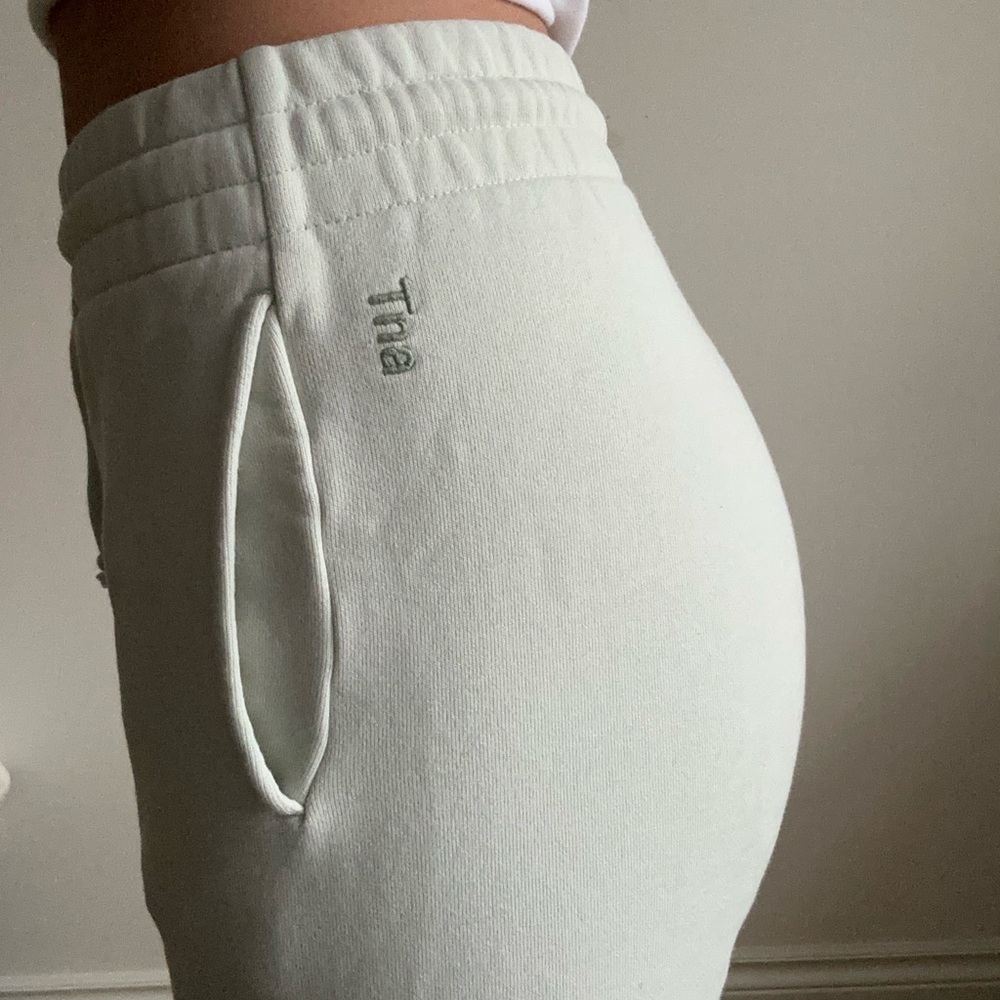 Tna Aritzia Light Green Joggers